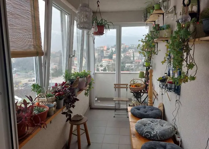 Jelena Novi Vinodolski